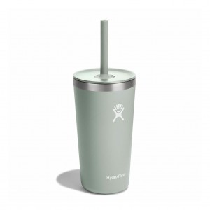 Agave Hydro Flask 20 oz All Around™ Tumbler with Straw Lid | YQOWXTZ-26