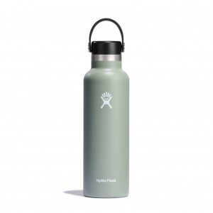 Agave Hydro Flask 21 oz Standard Mouth | VDXPAQK-73