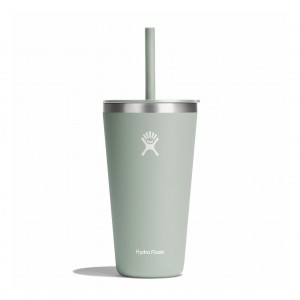 Agave Hydro Flask 28 oz All Around™ Tumbler with Straw Lid | GHCONYX-08