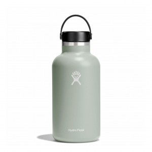 Agave Hydro Flask 64 oz Wide Mouth | DXBLEPW-40