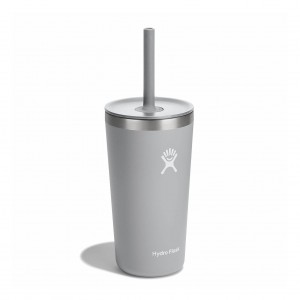 Birch Hydro Flask 20 oz All Around™ Tumbler with Straw Lid | YTNXZUL-39