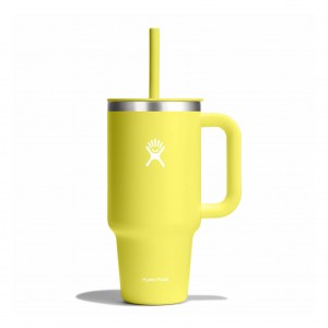 Cactus Hydro Flask 32 oz All Around™ Travel Tumbler | MONJEKD-12