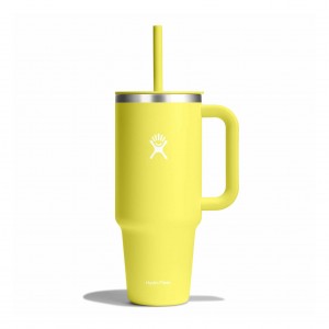 Cactus Hydro Flask 40 oz All Around™ Travel Tumbler | OCTGLSN-21