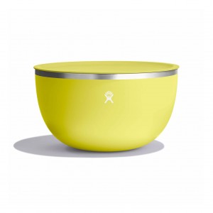 Cactus Hydro Flask 5 qt Serving Bowl with Lid | NVBXJIK-35