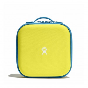 Cactus Hydro Flask Kids Insulated Lunch Box | PDQWFJI-10