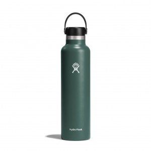 Fir Hydro Flask 24 oz Standard Mouth | WEGFIAB-86