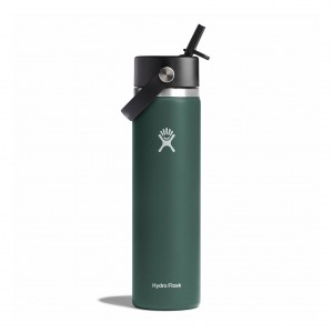 Fir Hydro Flask 24 oz Wide Mouth with Flex Straw Cap | PSMHGRX-47