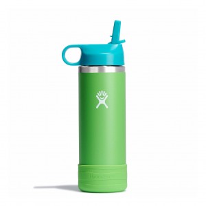 Grass Hydro Flask 18 oz Kids Wide Mouth w/ Straw Cap | ZMNIYJX-76