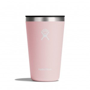 Trillium Hydro Flask 16 oz All Around™ Tumbler | HACORUJ-45