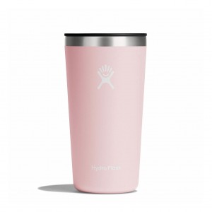 Trillium Hydro Flask 20 oz All Around™ Tumbler | KQYVBOM-78