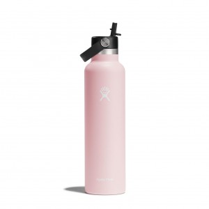 Trillium Hydro Flask 24 oz Standard Mouth with Flex Straw Cap | OAHGUZY-62