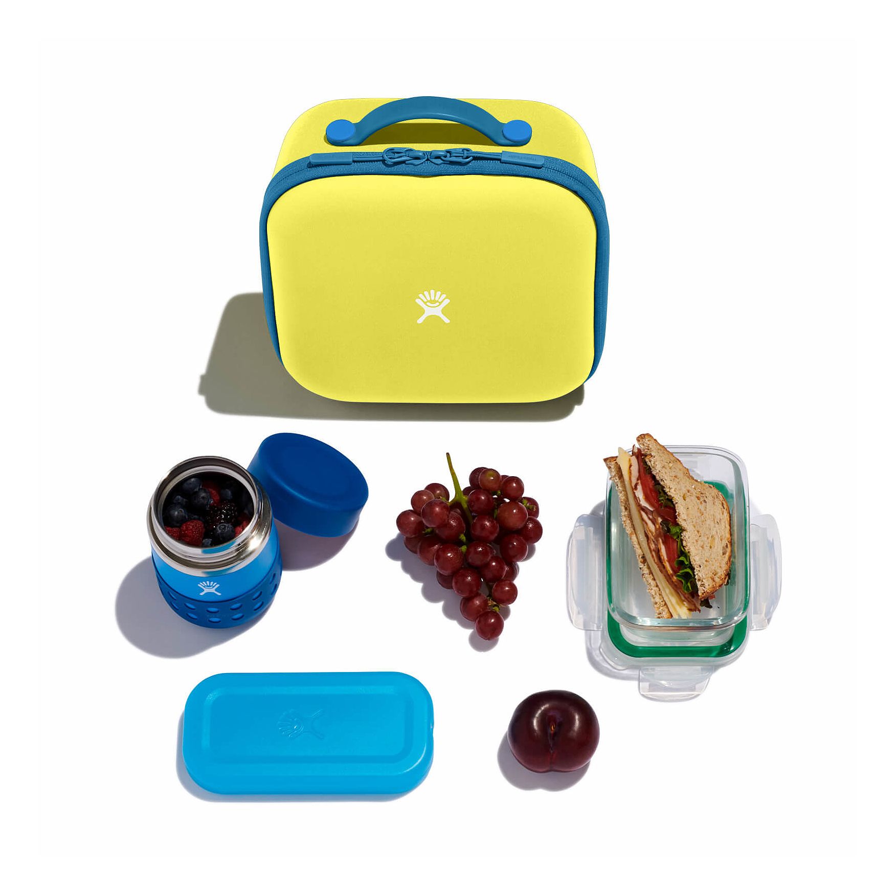 Cactus Hydro Flask Kids Insulated Lunch Box | PDQWFJI-10